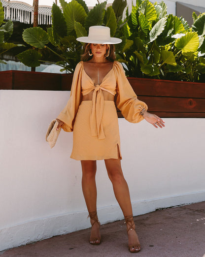 Fountain Dreams Mini Skirt - Apricot